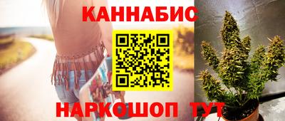 прущие грибы Сланцы