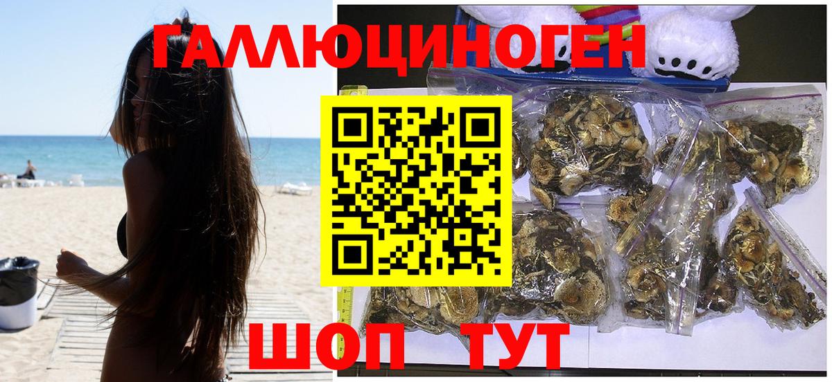Псилоцибиновые грибы Psilocybine cubensis Нефтекумск