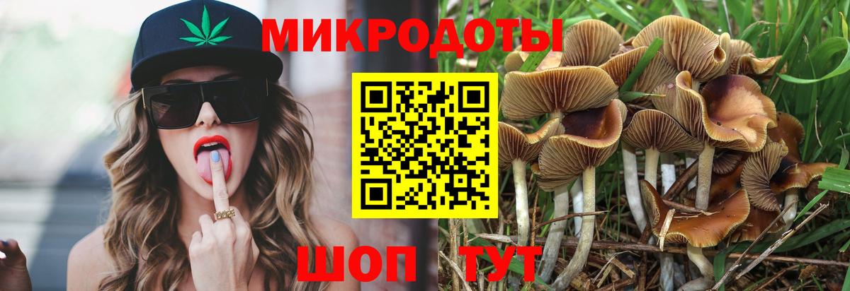Нефтекумск  Галлюциногенные грибы Psilocybe  Вход с VPN  Псилоцибиновые грибы Cubensis 